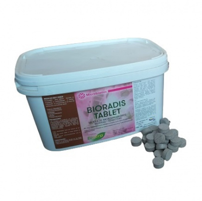 MICORRIZAS/BIORADIS TABLET 250/1000 UND